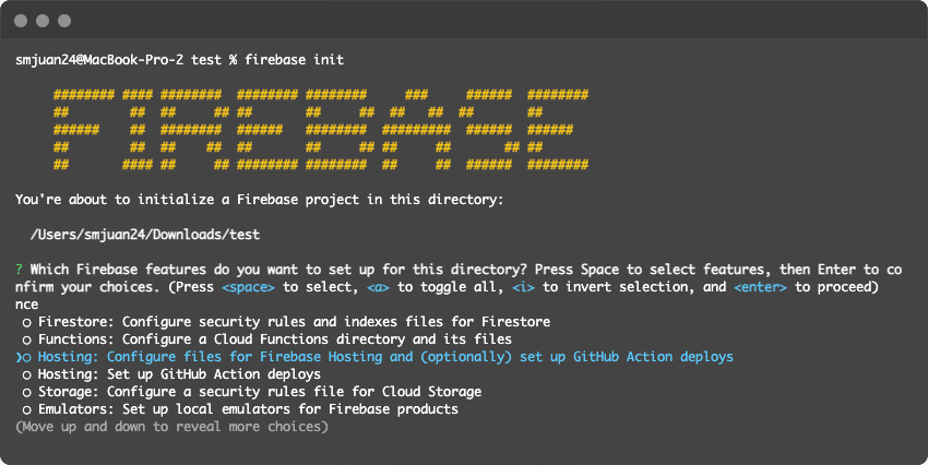 Salida de comando firebase init